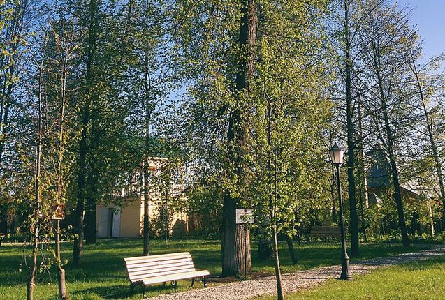 Александр Перевозчиков: стараемся больше общаться с молодежью, чтобы знать проблемы нового поколения